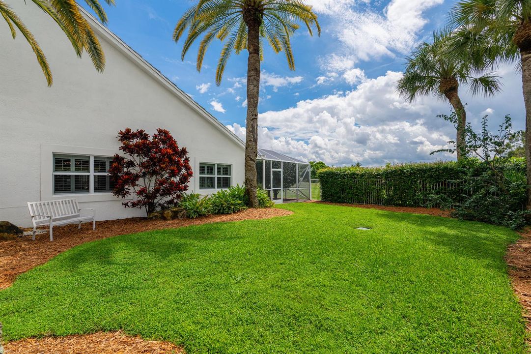 Side Yard