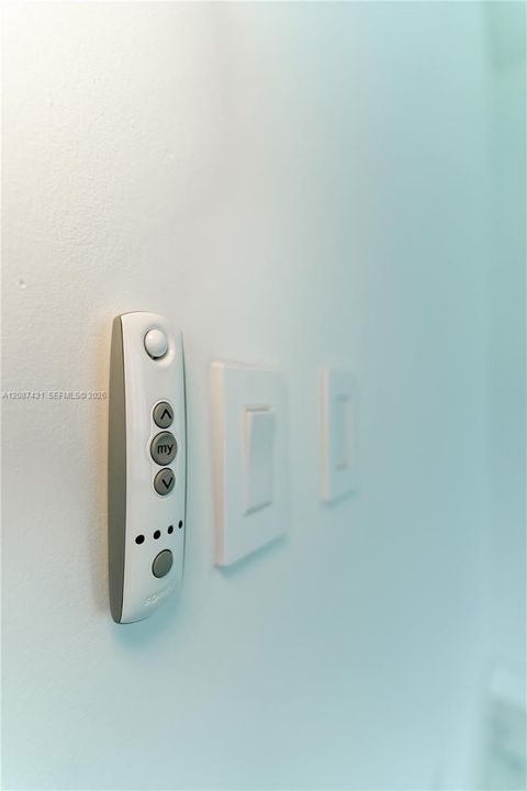 Electric window treatments