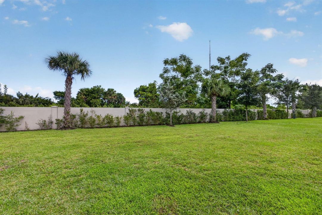 54-web-or-mls-5D1A2032