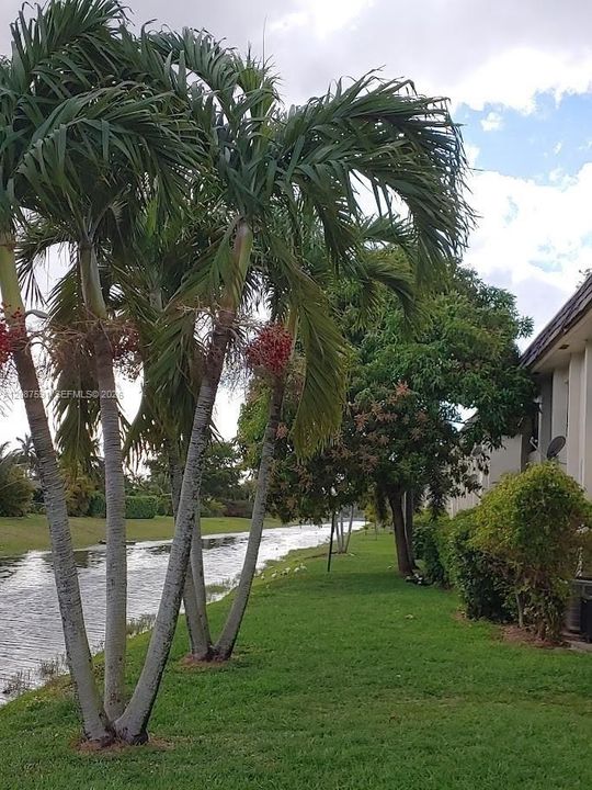 For Sale: $200,000 (2 beds, 2 baths, 800 Square Feet)