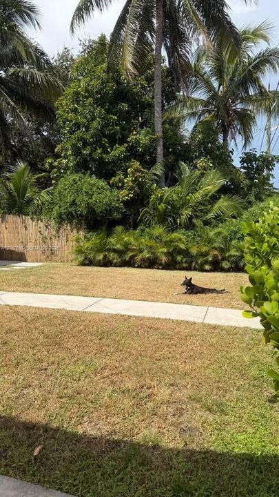 For Rent: $2,600 (3 beds, 1 baths, 860 Square Feet)