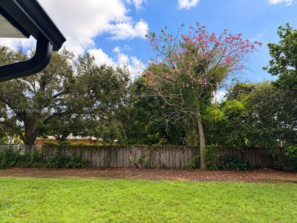 Expansive backyard featuring a level lawn, tall privacy fencing, and mature canopy trees