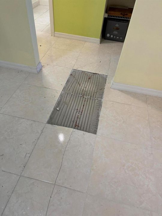 1881 damaged floor 2
