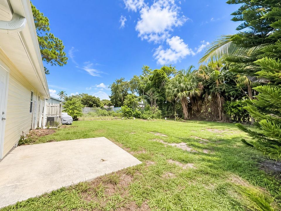 Backyard