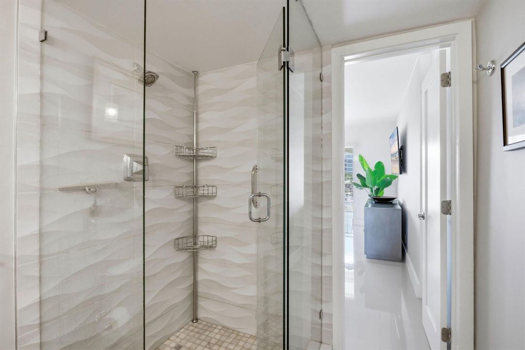 Primary Shower