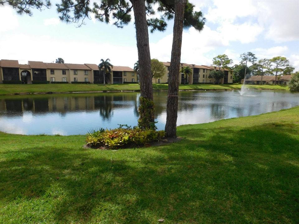 627 SEA PINE WAY - BACK 2