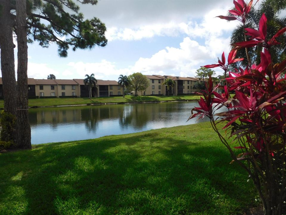 627 SEA PINE WAY - BACK1