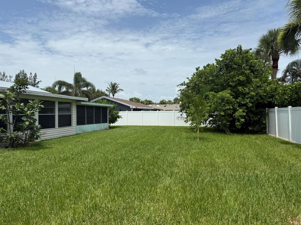 Back yard