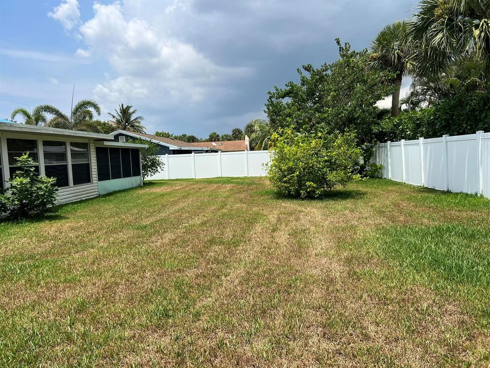 Backyard