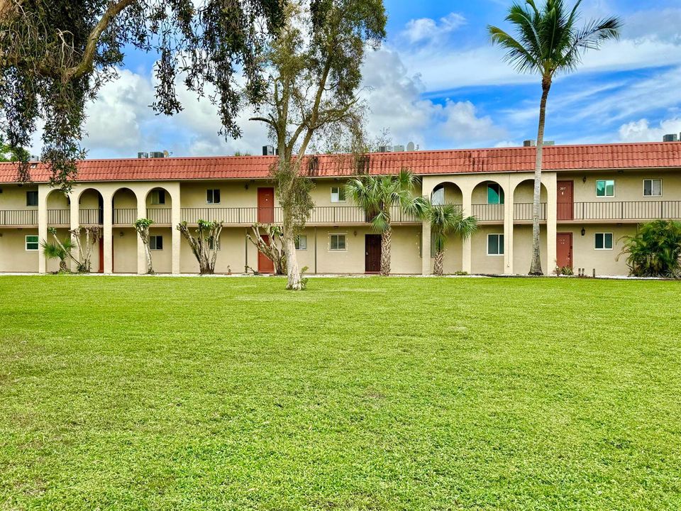 Wide Open Grassy Space