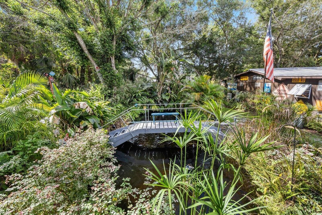Pond