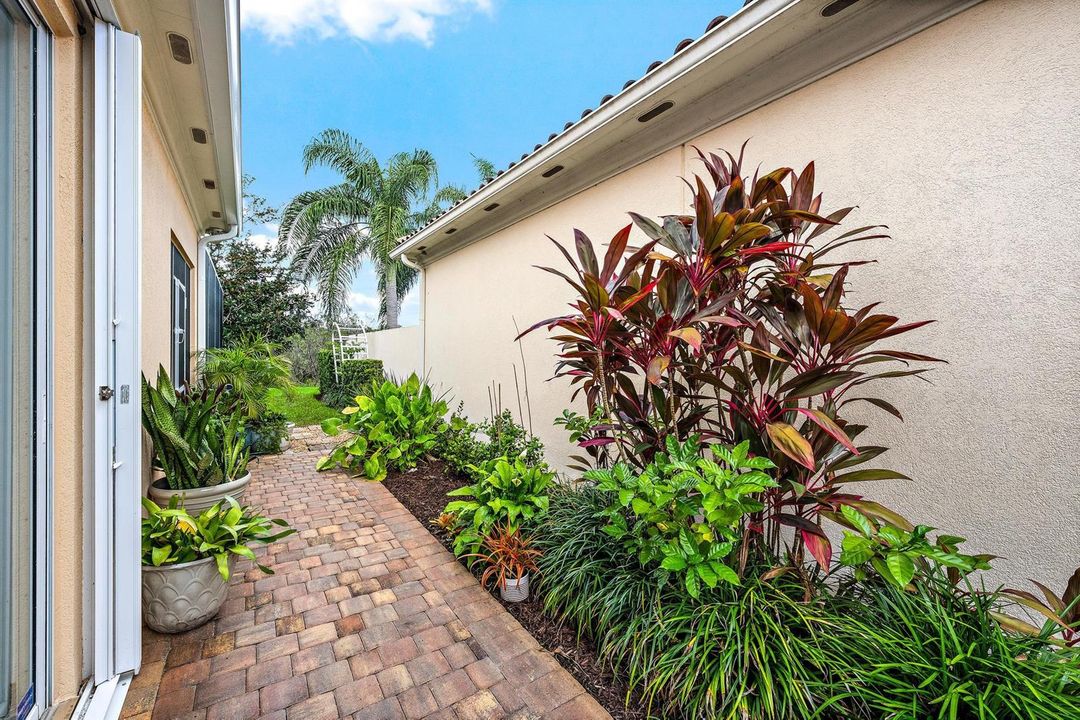 Side Yard Area