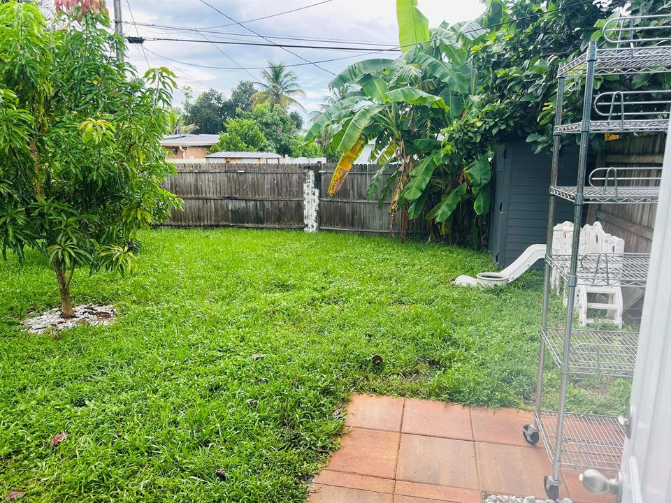 Backyard