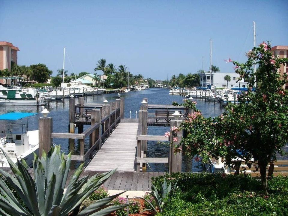 COMMON DOCK