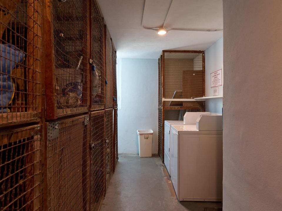 P1193451_HDR