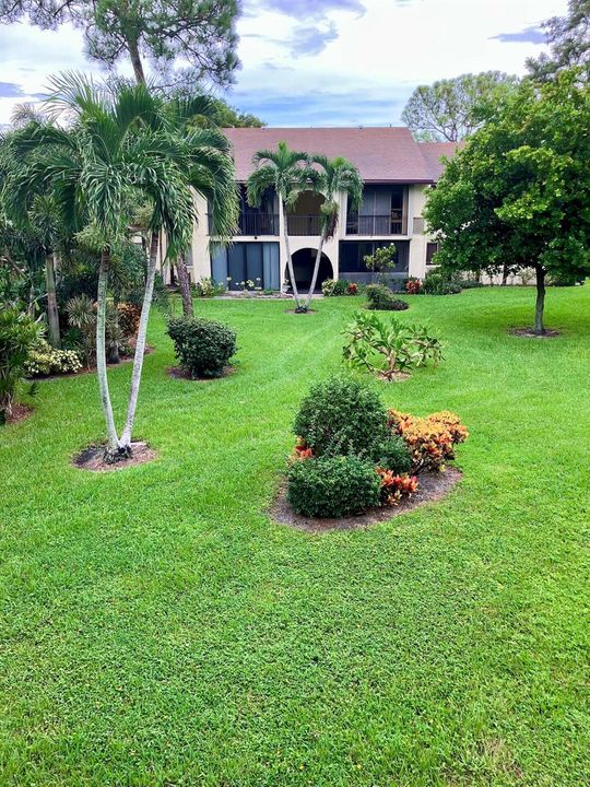 courtyard