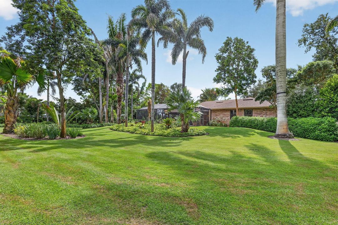 Backyard area.