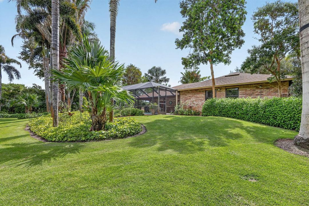 Backyard area.