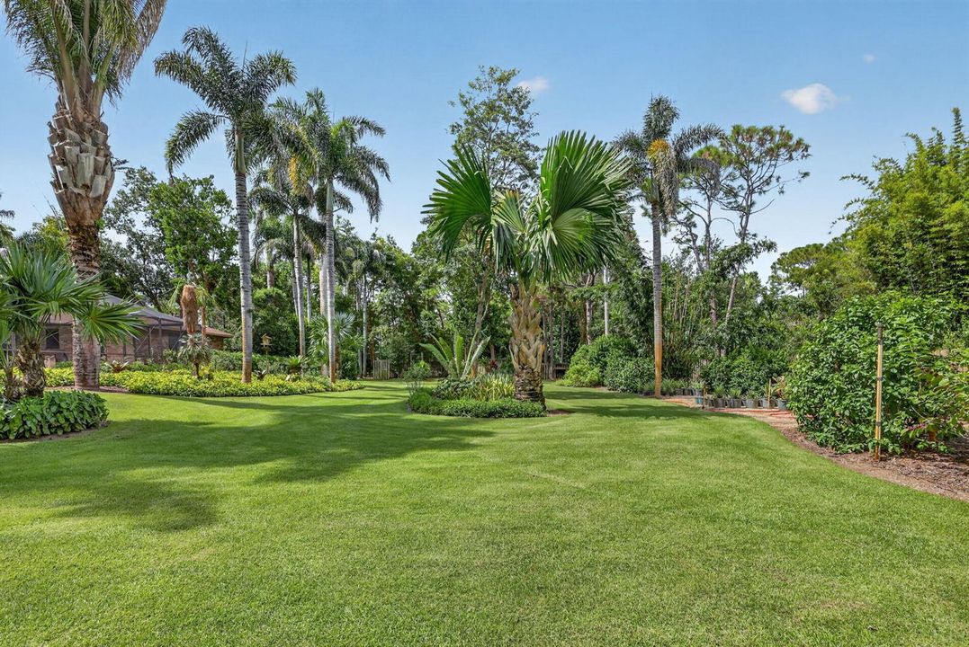 Amazing yard!