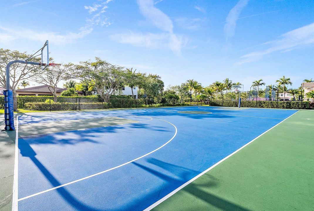 Basketball Court