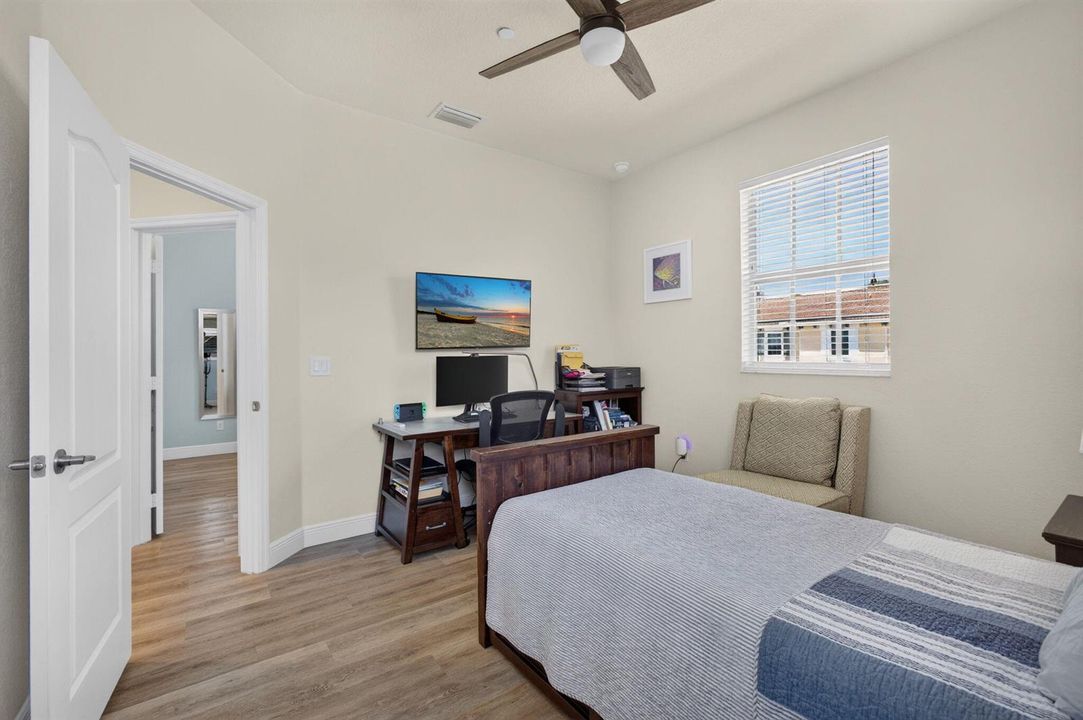 36-web-or-mls-5D1A4247