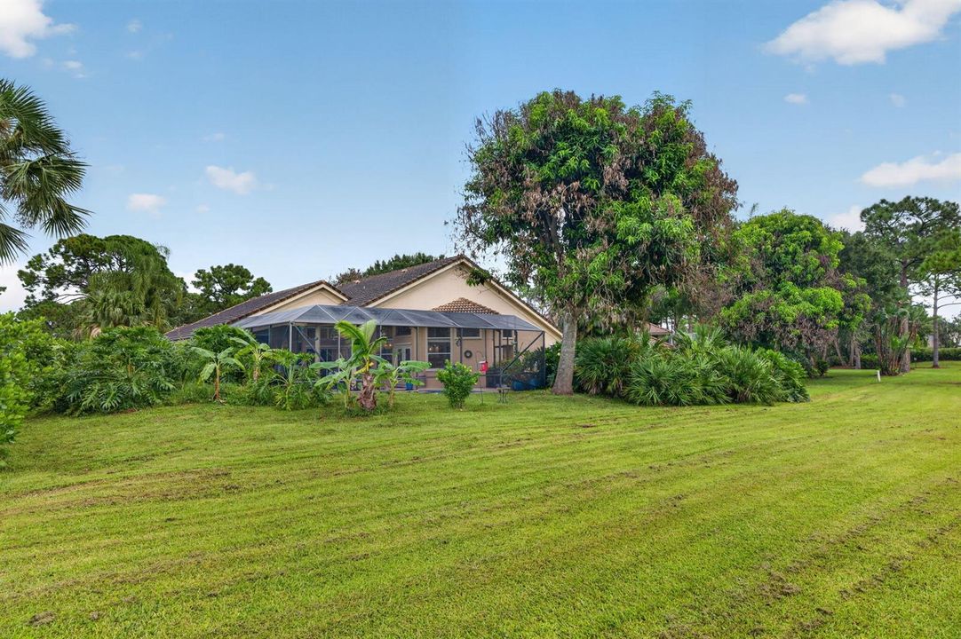 53-web-or-mls-3A5A6131