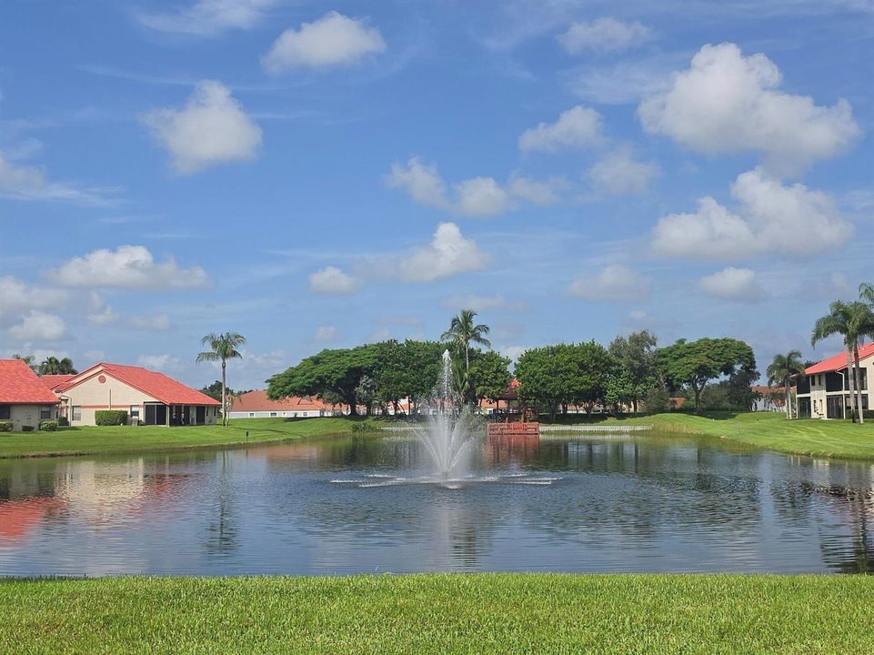 COMMUNITY FOUNTAIN PIC