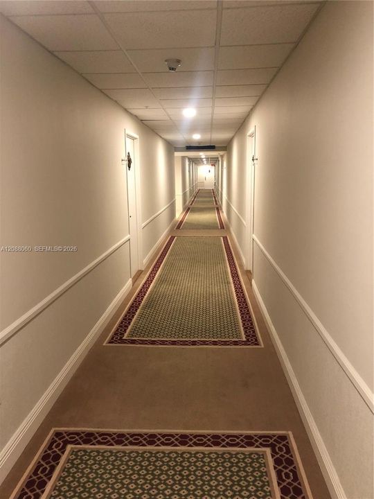 Clean Hallways 7th floor