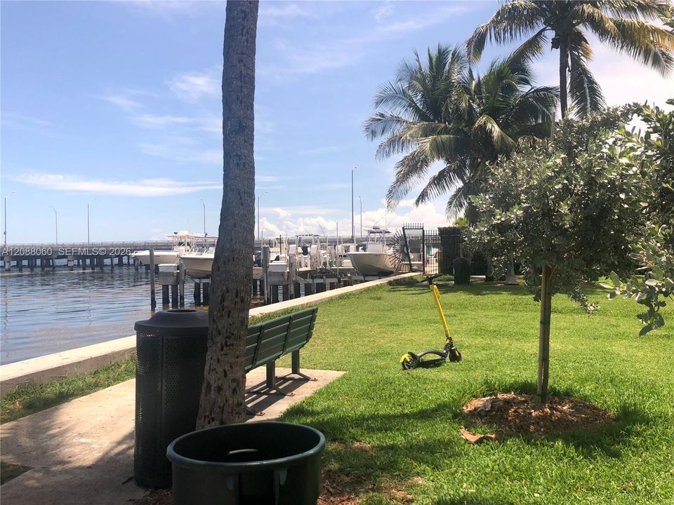 Nice green spaces with the Biscayne Bay breezes