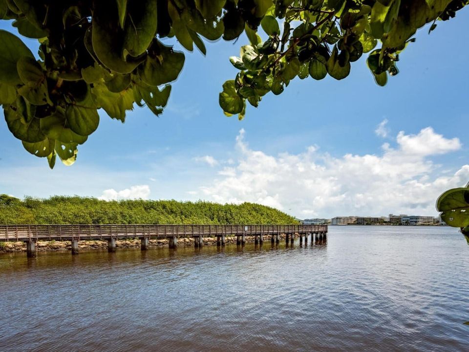 050_070_snook island 2