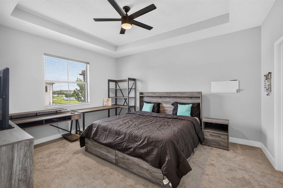 33-web-or-mls-5D1A2497