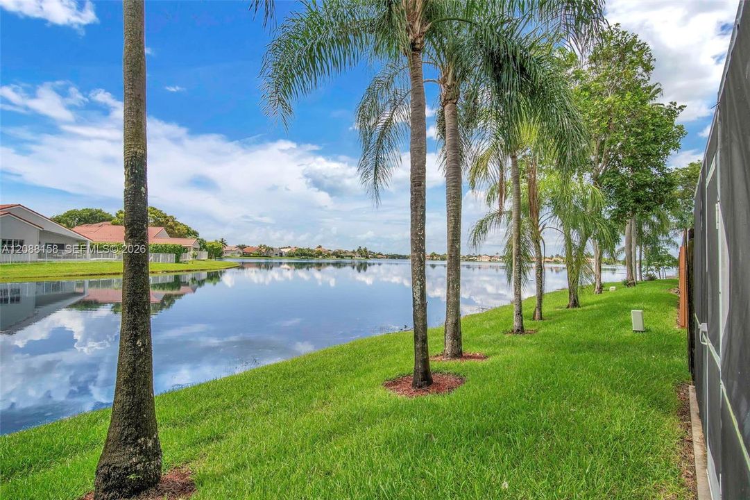 Lake view
