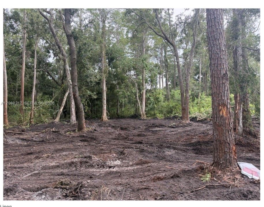 For Sale: $75,000 (5,460.00 acres)
