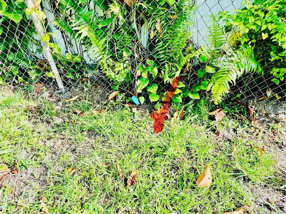 sprinklers