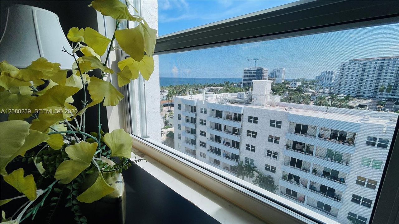 View from guest br