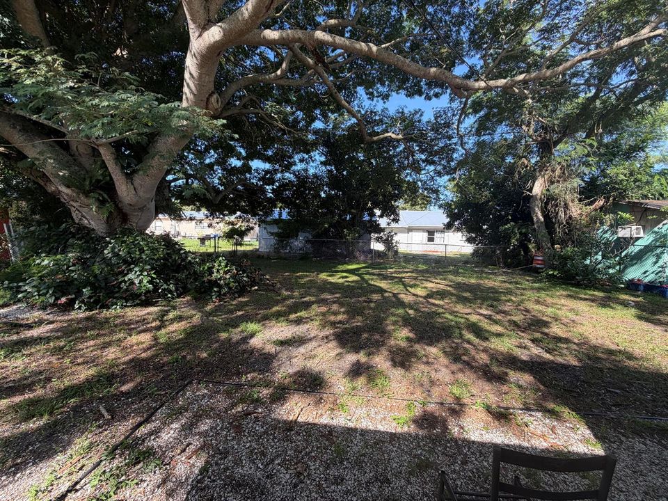 Backyard