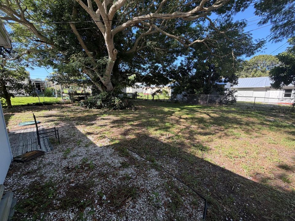 Backyard 2