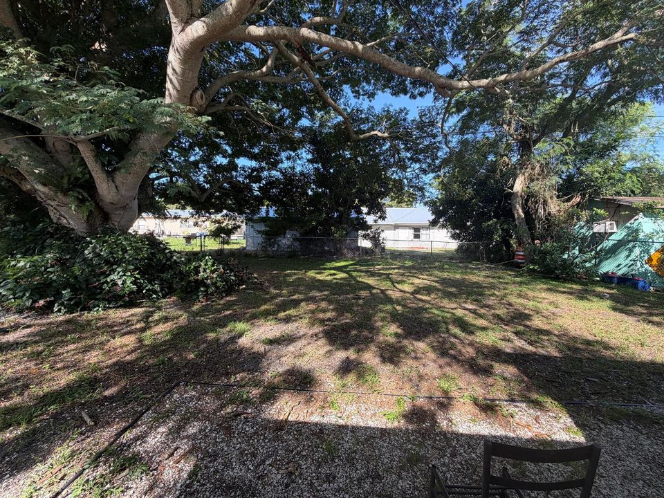Backyard 3
