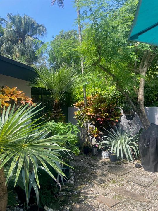 Backyard garden