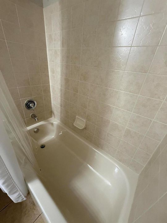 guest bath tub