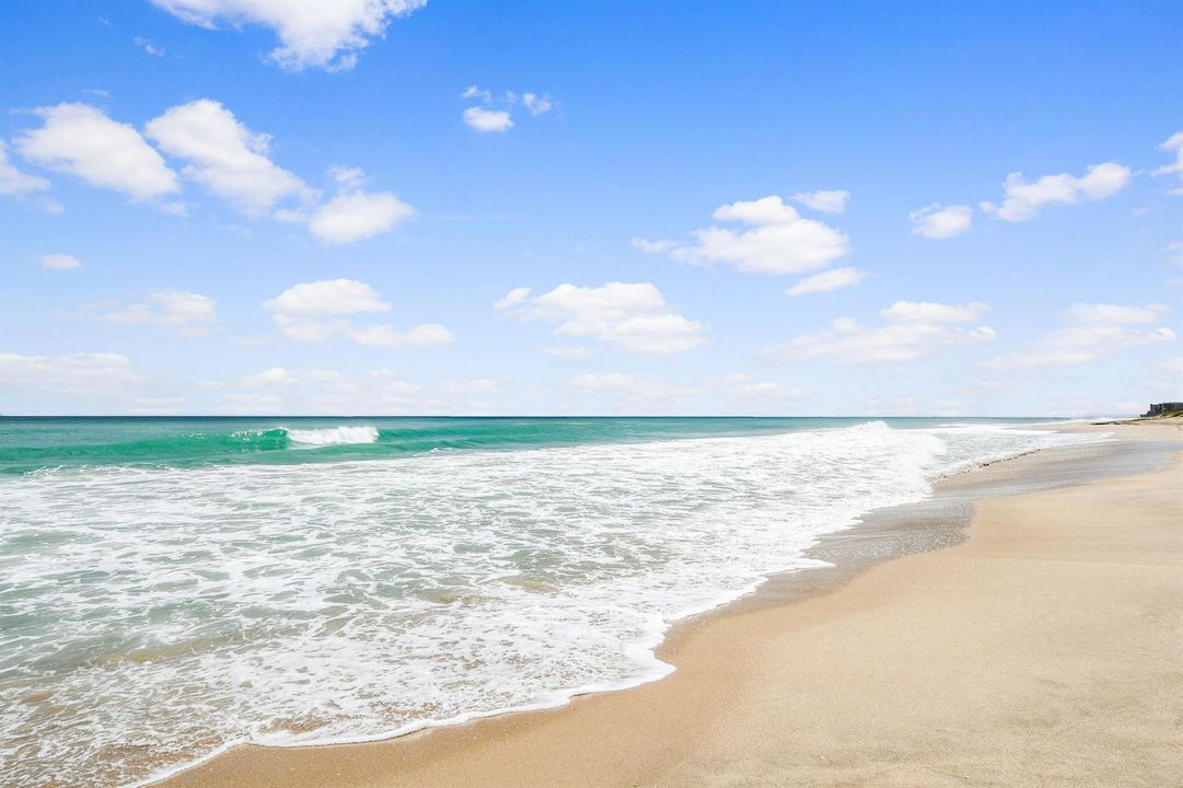 Ocean(1)