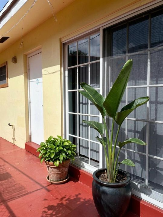 Sliding Glass Back Door