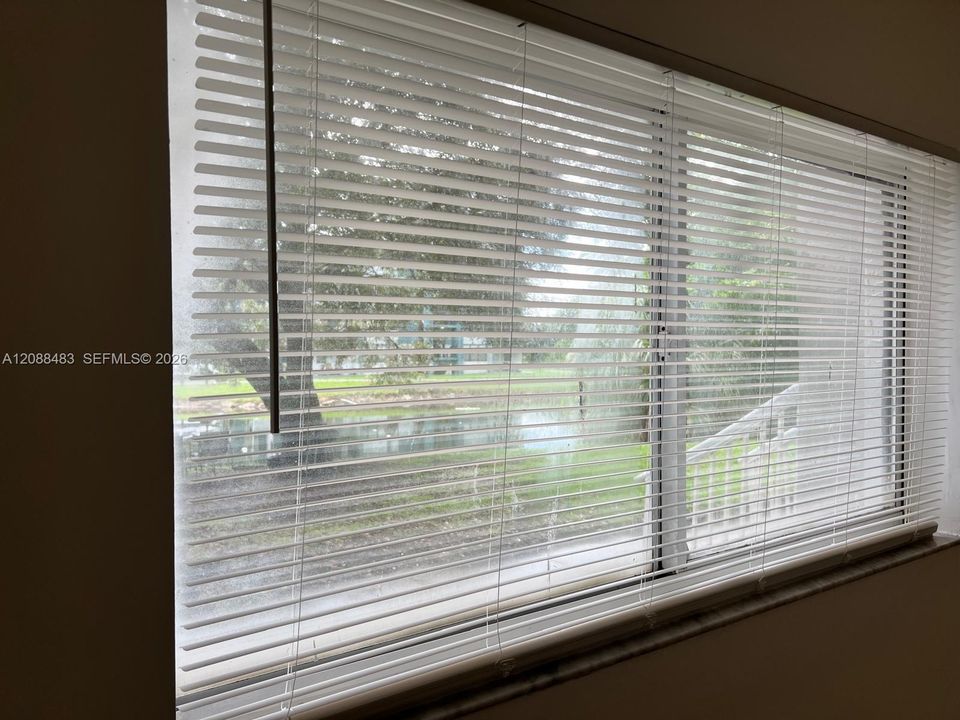 View From Living Room