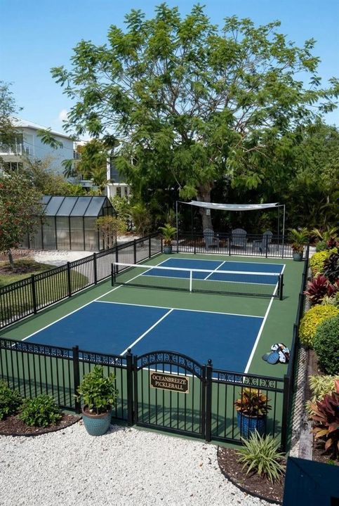 Virtual Pickleball court