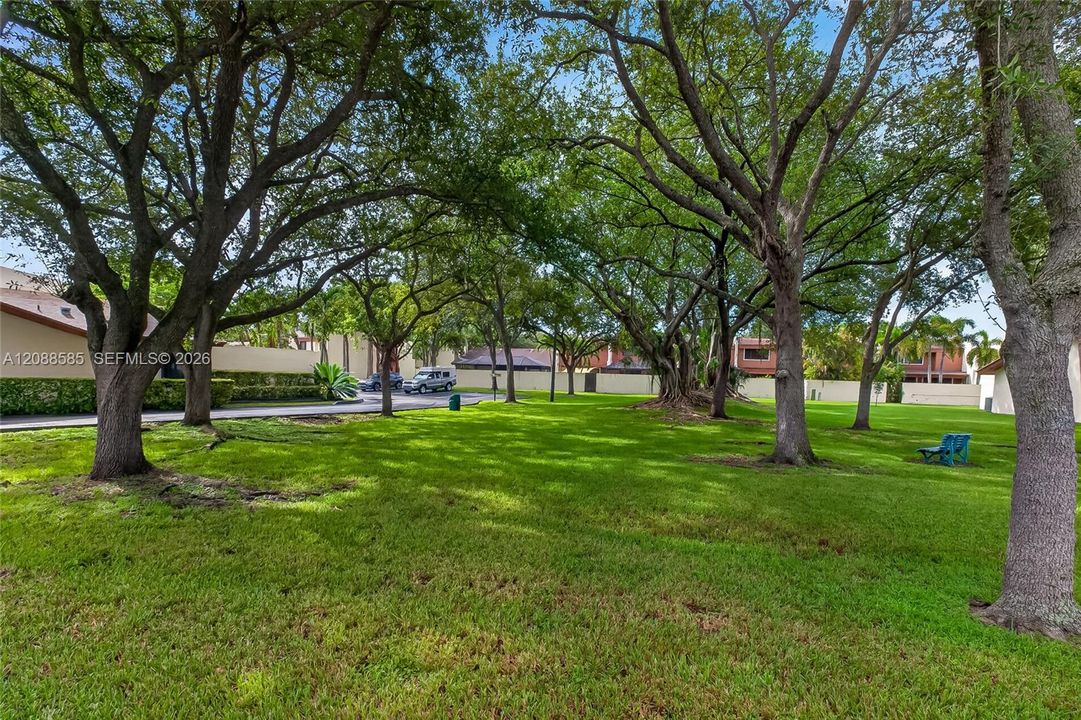 Greenbelt behind the house