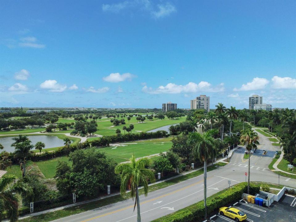 Presidential View