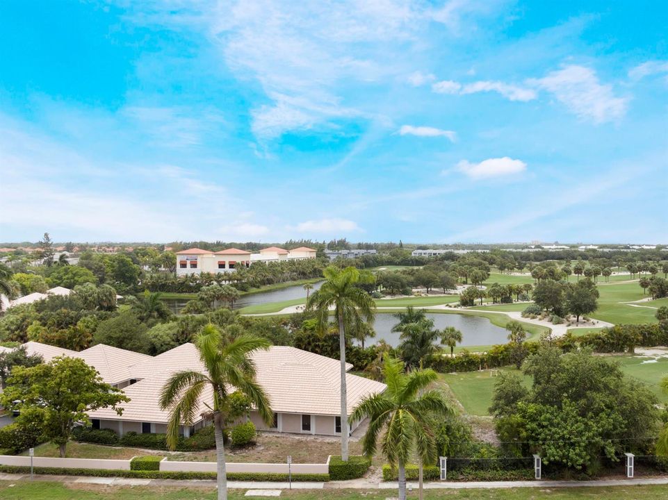 View from Dining