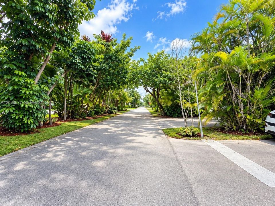 For Rent: $1,650 (1 beds, 1 baths, 510 Square Feet)