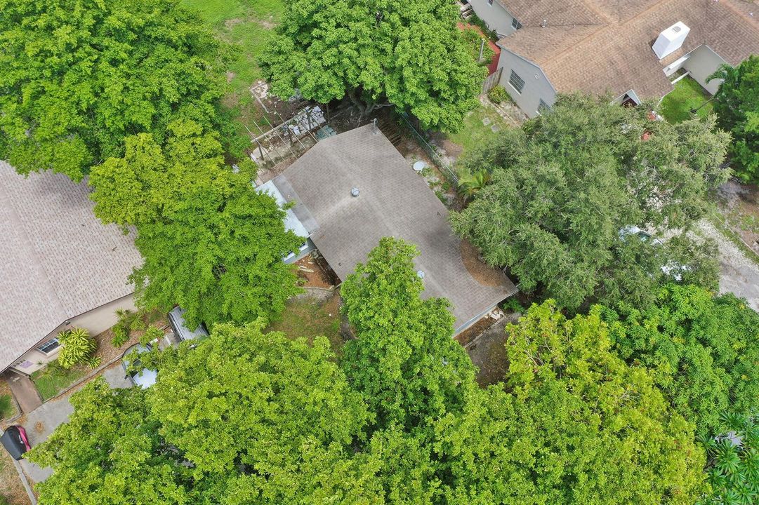 DJI_0428
