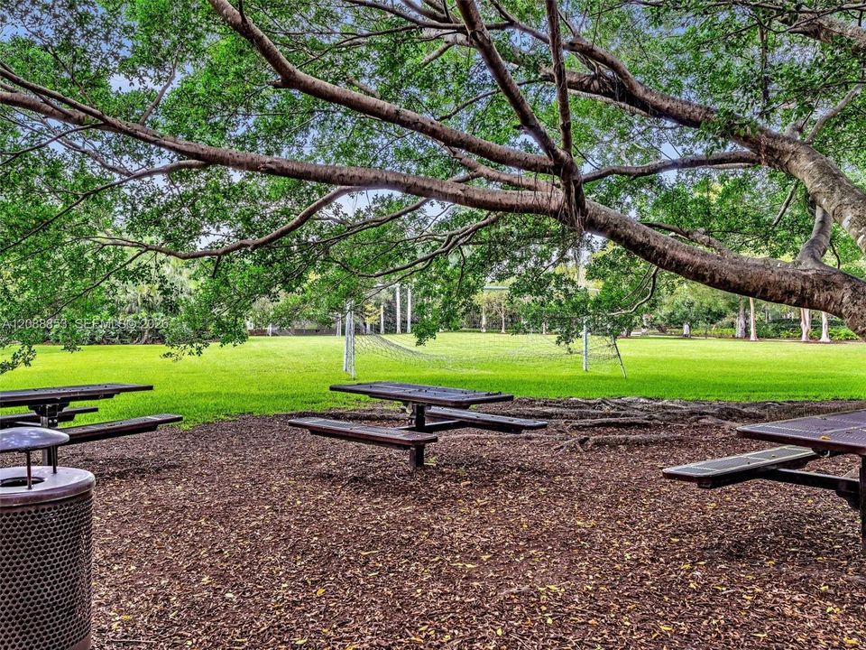 Picnic area ideal for outdoor dining and celebrations, shaded by a large tree